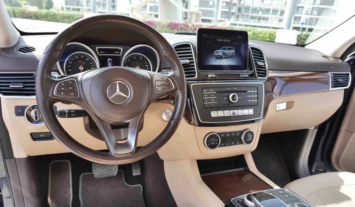 2019 Mercedes Benz Gls 